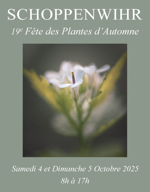 Fête des plantes d'automne 2025 de Schoppenwhir